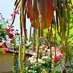 Modern&cozy Bosnian House With Garden+free Parking ゲストハウス サラエヴォ