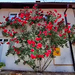 ゲストハウス Modern&cozy Bosnian House With Garden+free Parking サラエヴォ