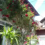 Modern&cozy Bosnian House With Garden+free Parking 塞拉耶佛