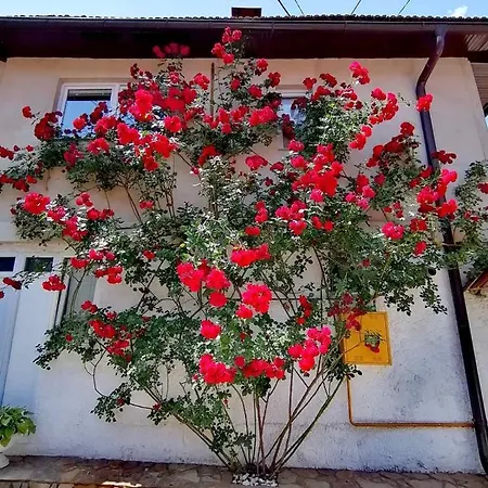 Pensionat Modern&cozy Bosnian House With Garden+free Parking Sarajevo