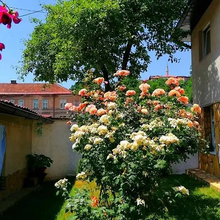 Гостевой дом Modern&cozy Bosnian House With Garden+free Parking
