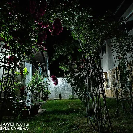 Modern&cozy Bosnian House With Garden+free Parking