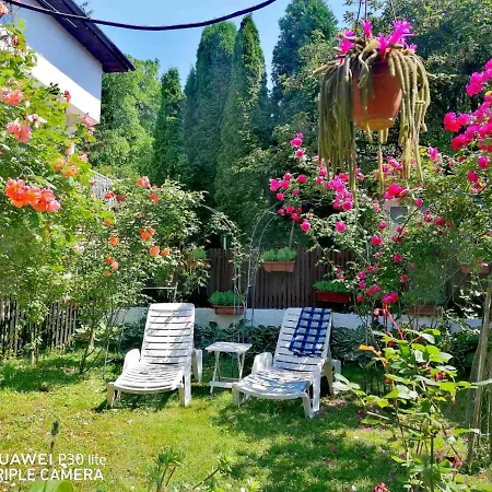 Modern&cozy Bosnian House With Garden+free Parking 3*