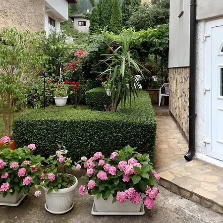 Modern&cozy Bosnian House With Garden+free Parking * SJJ