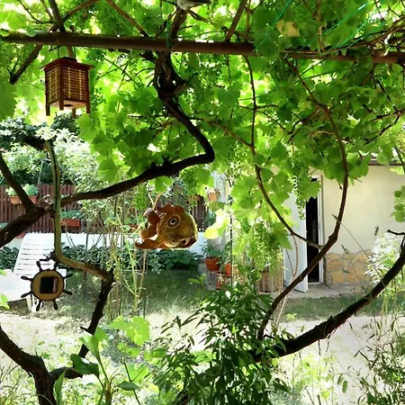 Modern&cozy Bosnian House With Garden+free Parking 4* Сараево