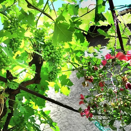 Gasthof Modern&cozy Bosnian House With Garden+free Parking