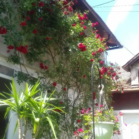 Modern&cozy Bosnian House With Garden+free Parking SJJ