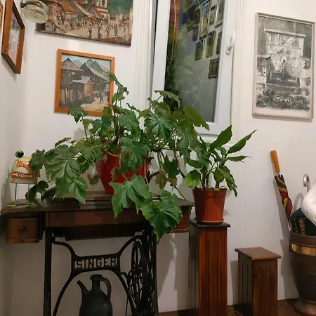 Pensionat Modern&cozy Bosnian House With Garden+free Parking Sarajevo