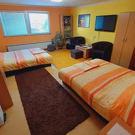Modern&cozy Bosnian House With Garden+free Parking SJJ