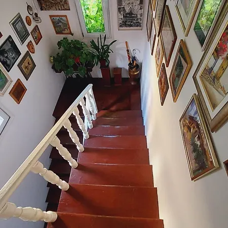 Pensionat Modern&cozy Bosnian House With Garden+free Parking Sarajevo
