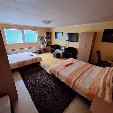 Modern&cozy Bosnian House With Garden+free Parking Pensionat 3*