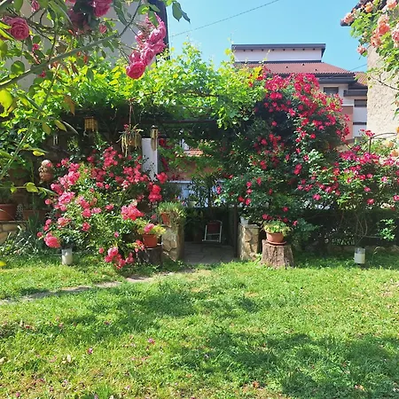 Modern&cozy Bosnian House With Garden+free Parking Pensionat Sarajevo