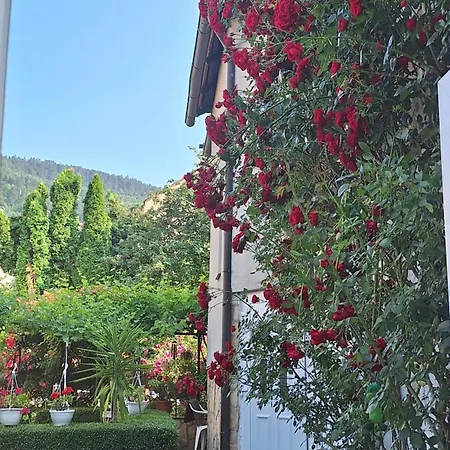 Modern&cozy Bosnian House With Garden+free Parking 3* 塞拉耶佛