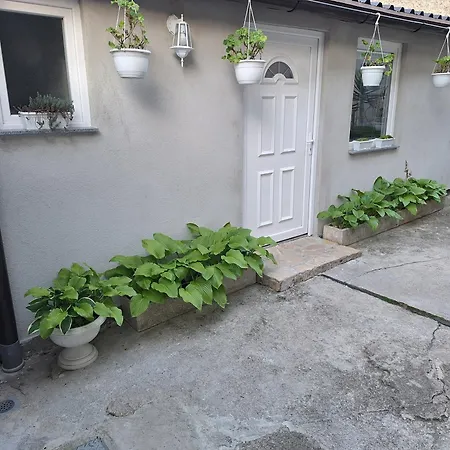 ゲストハウス Modern&cozy Bosnian House With Garden+free Parking サラエヴォ