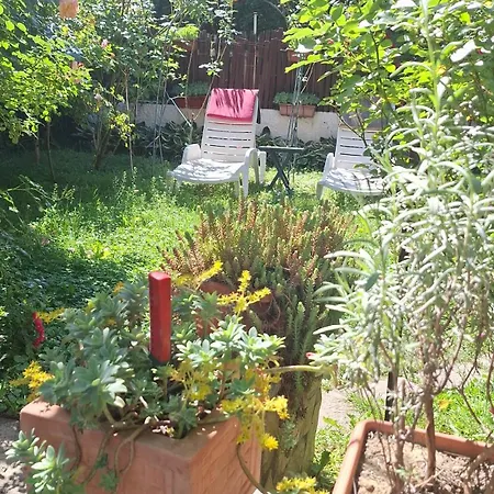 Penzion Modern&cozy Bosnian House With Garden+free Parking Sarajevo
