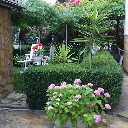 Modern&cozy Bosnian House With Garden+free Parking Πανσιόν 3*