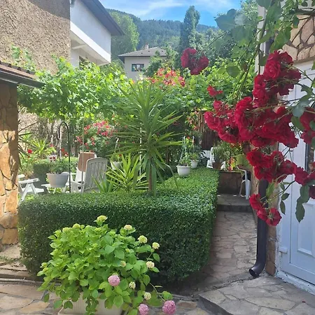 Modern&cozy Bosnian House With Garden+free Parking Πανσιόν Σαράγεβο