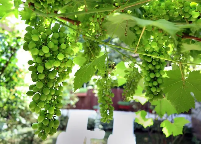 Gostinjska kuća Modern&cozy Bosnian House With Garden+free Parking