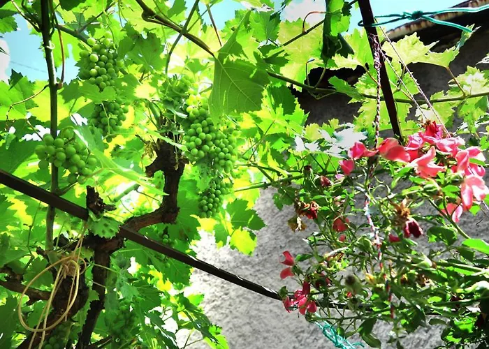 Гостевой дом Modern&cozy Bosnian House With Garden+free Parking